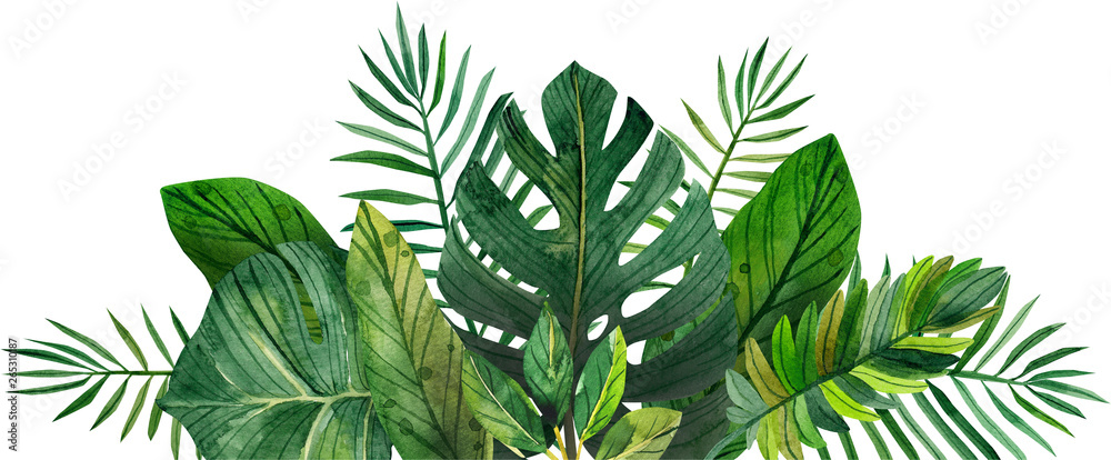 watercolor frame of tropical leaves - obrazy, fototapety, plakaty 
