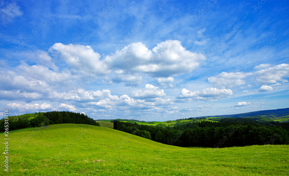 Summer landscape with green grass and blue sky.