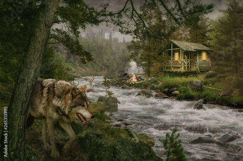 Photography Forest Hut