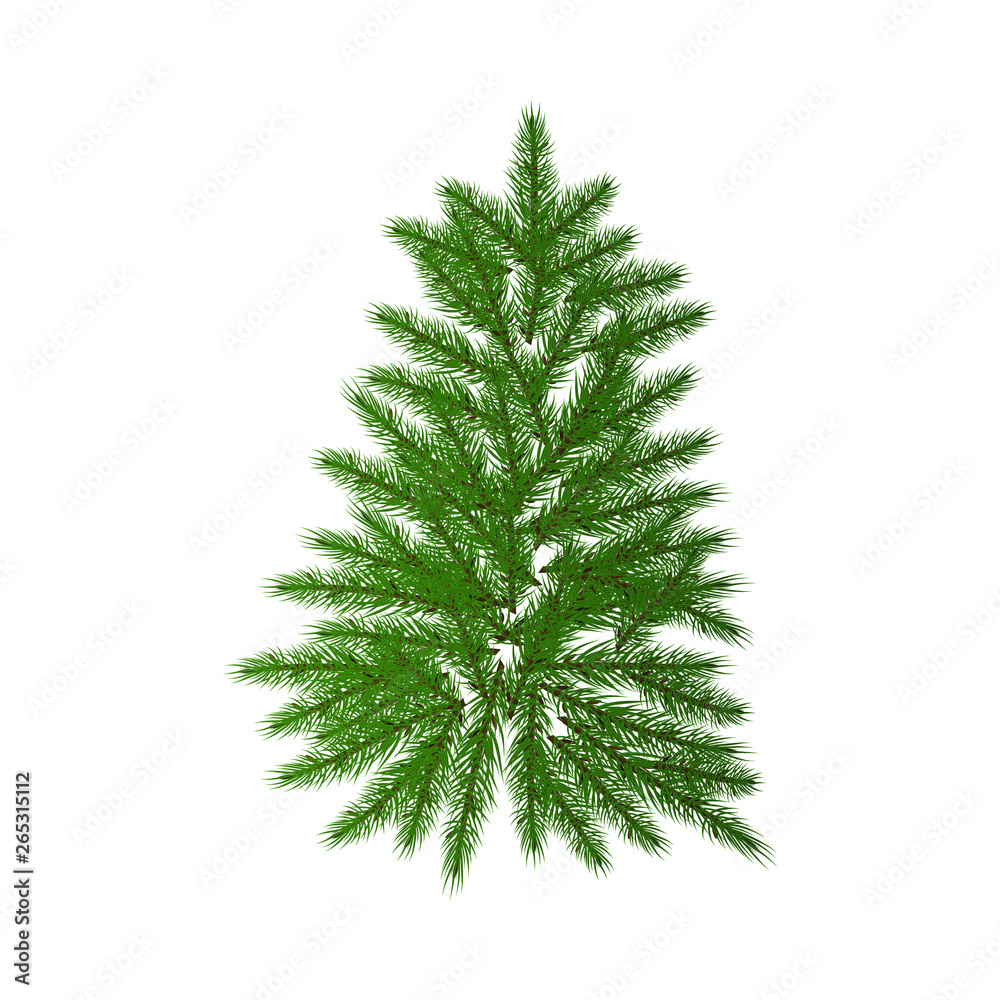 Tree, green Christmas fir tree, isolated on white background.