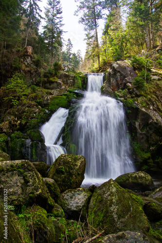 Fototapeta Naklejka Na Ścianę i Meble -  Wasserfall in Triberg