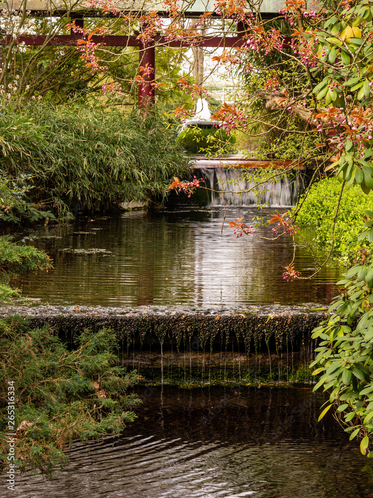 Fototapeta premium Japanischer Garten mit Wasserlauf Natur