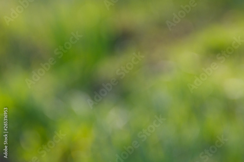 Green natural blurred abstract background