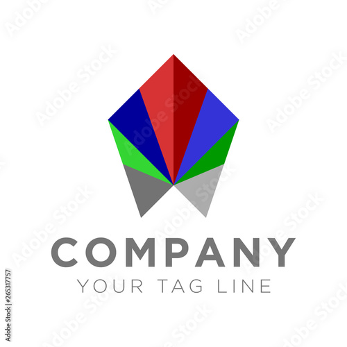 Polygon logo with color