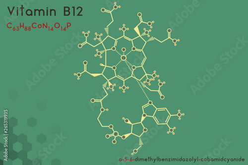 Large and detailed infographic of the molecule of Vitamin B12.