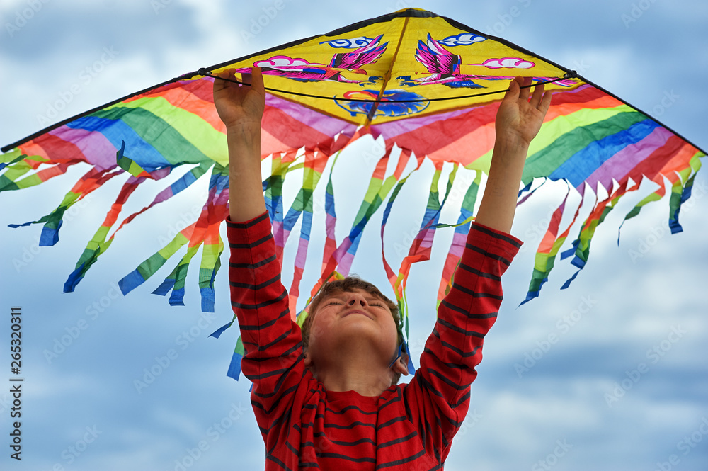 A boy with a kite on the beach . The concept of healthy recreation for children . There is room for text