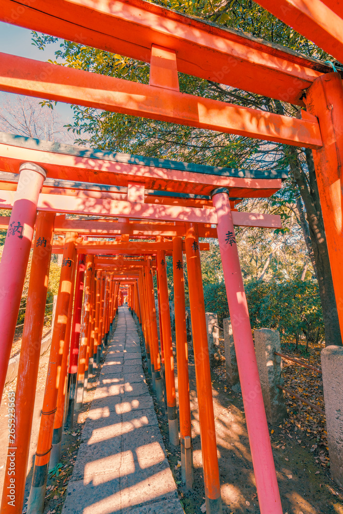 稲荷神社の鳥居