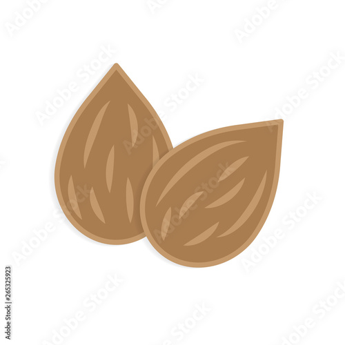 raw almond icon- vector illustration