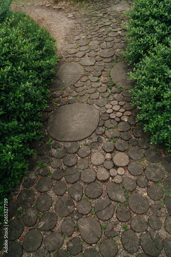 Path of cut round trees