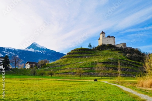 Castle on the hill with natural colors