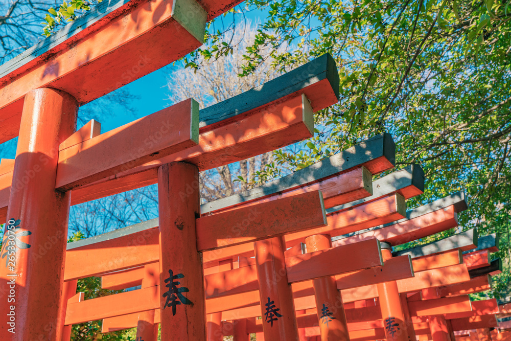 Fototapeta premium 稲荷神社の鳥居