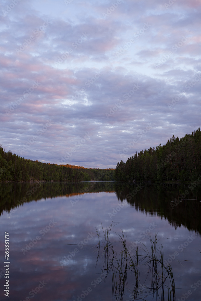 Calm forest lake at midsummer night sky reflection