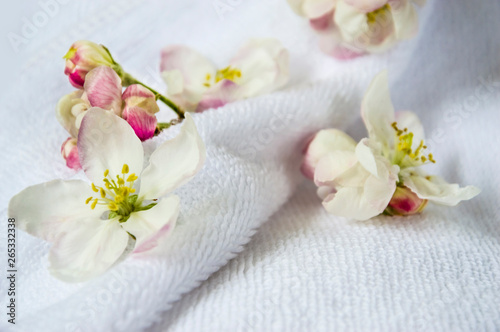 flowers, buds of an apple tree against the background of a white terry towel. Delicate flowers on a light background.