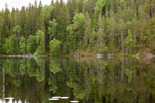 Fototapeta Naklejka Na Ścianę i Meble -  Landscape reflection from forest lake in Finland