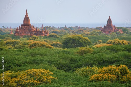 Beautiful morning ancient temples and pagoda in the Archaeological Zone, landmark and popular for tourist attractions and destination in Bagan, Myanmar. Asia Travel concept