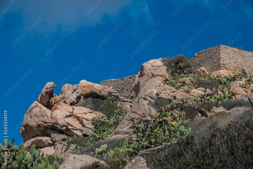 La Maddalena Archipelago National Park, on the coast of Sardinia province of Sassari,  northern Sardinia, Italy.