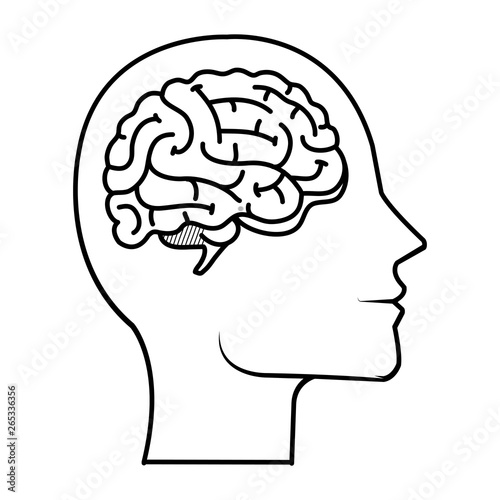 profile with brain human organ