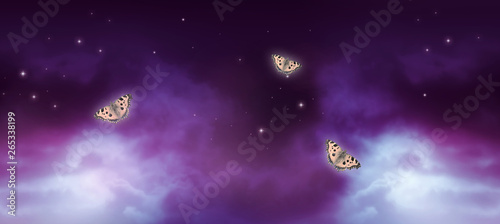 Fantasy background of magical night sky with shining stars  mysterious clouds and flying butterflies