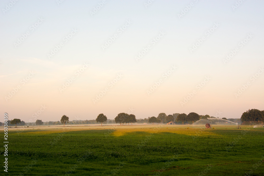 Pola na wsi z rana podczas mgły i wschodu słońca