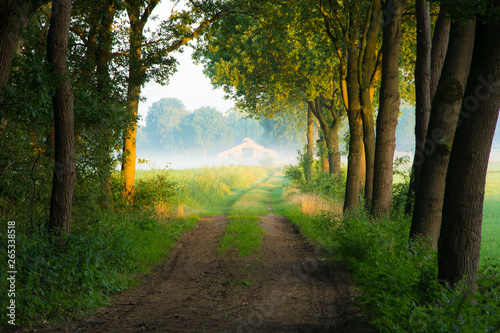 Wiejska droga i mgła w oddali