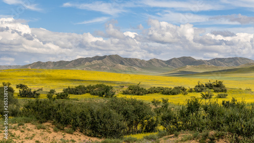 Mongolian Mountains