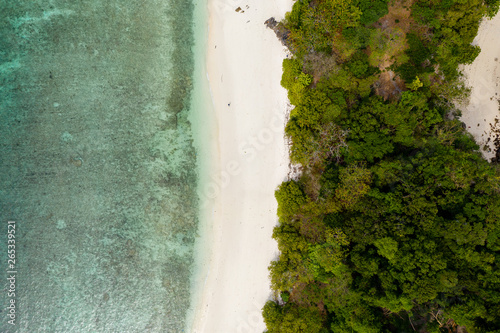 Aerial drone view of a lush, green tropical island with sandy beach © whitcomberd