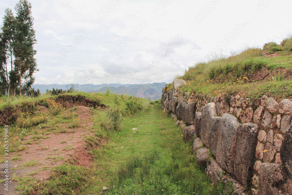 Fototapeta premium Caminos en campo