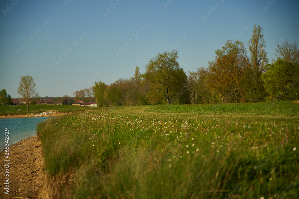 Obraz premium Chemin au bord du lac