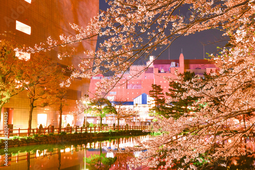 夜の小倉城桜まつり 福岡県 Stock Photo Adobe Stock