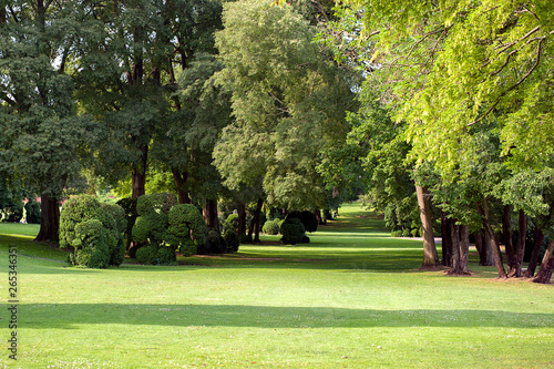 public park, ideal to spend a day with the family in full freedom immersed in nature. The freshly cut lawn is surrounded by trees of every species and color