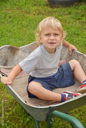Happy little boy having fun in a wheelbarrow in domestic garden on warm sunny day. Active outdoors games for kids in summer.