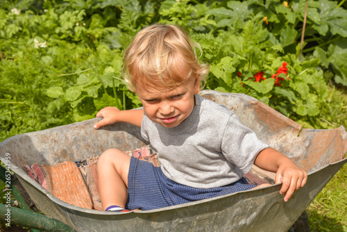 Happy little boy having fun in a wheelbarrow in domestic garden on warm sunny day. Active outdoors games for kids in summer.