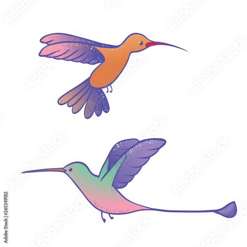 two hummingbirds in cartoon comic style © Deno