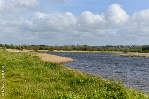 Marais de Curnic, conservatoire du littoral, Guisseny, Finistere, 29, Bretagne photo