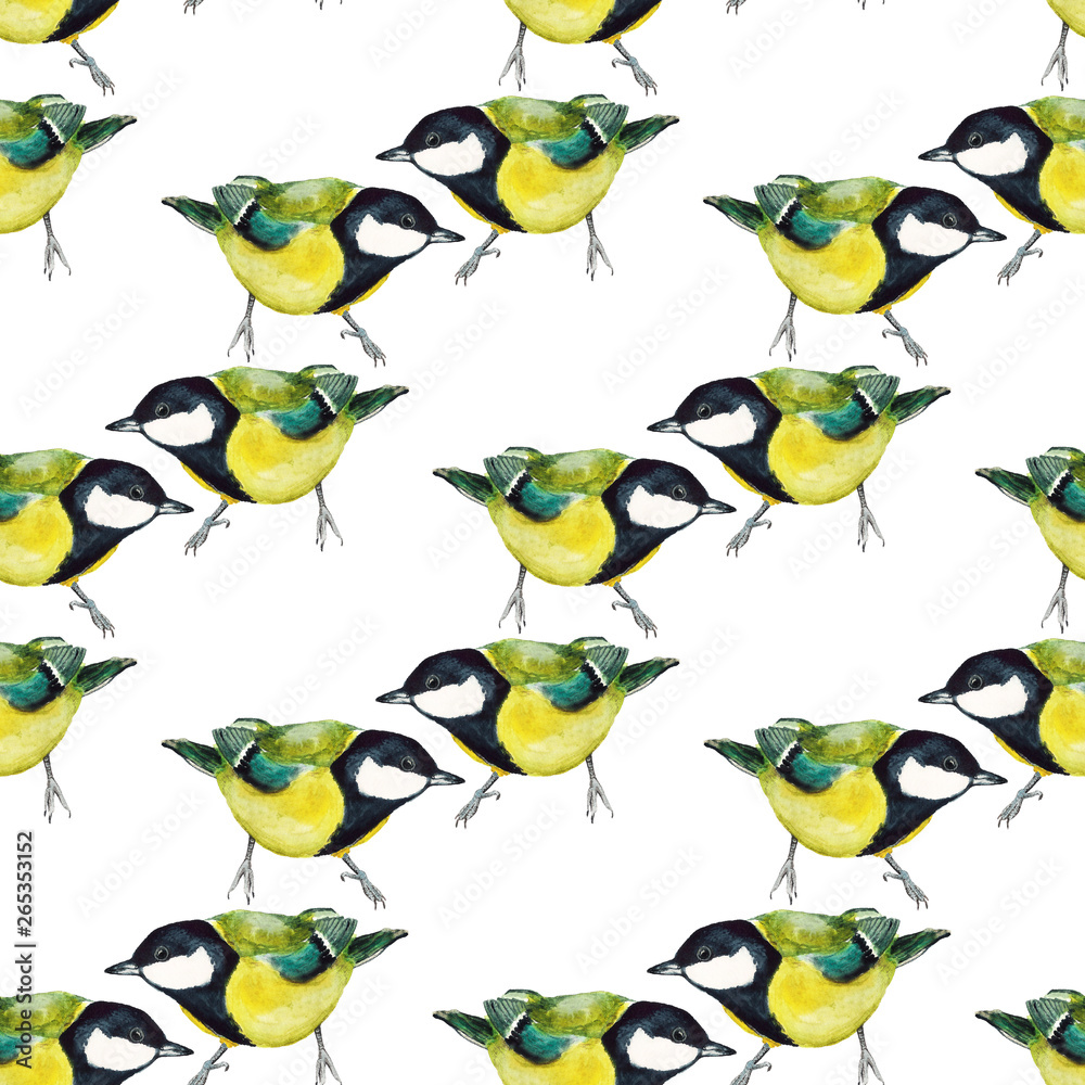Obraz premium Seamless pattern with tomtits