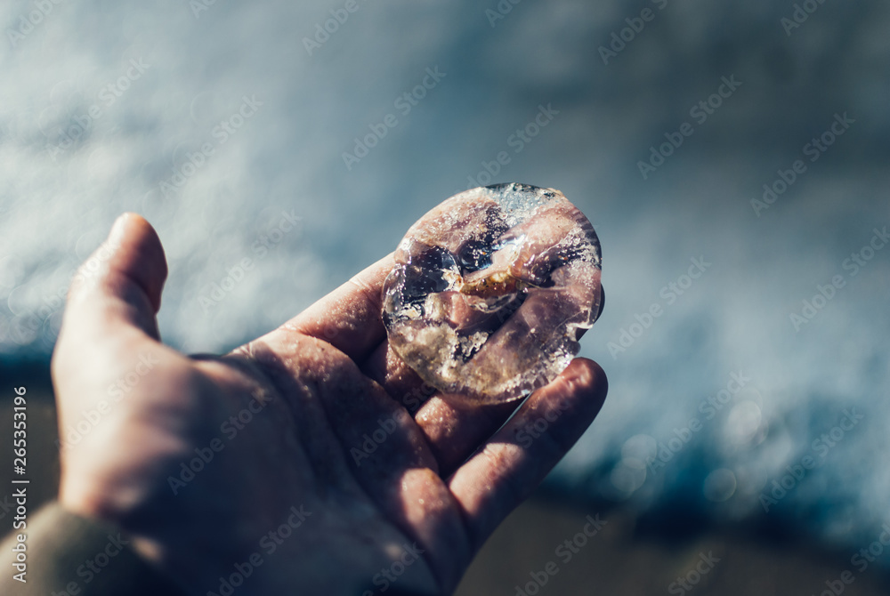 jellyfish in hand
