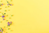 Beautiful flowers composition. Purple flowers on pastel yellow background. Valentines Day, Easter, Birthday, Happy Women's Day, Mother's day. Flat lay, top view, copy space