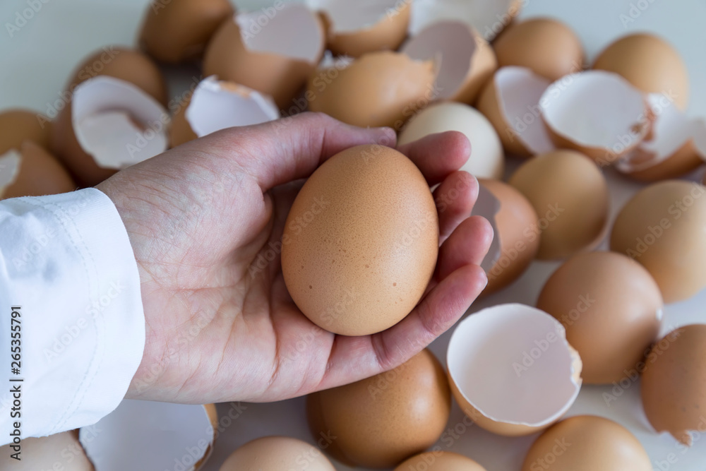 egg shells on the white background for food and kitchen concept.