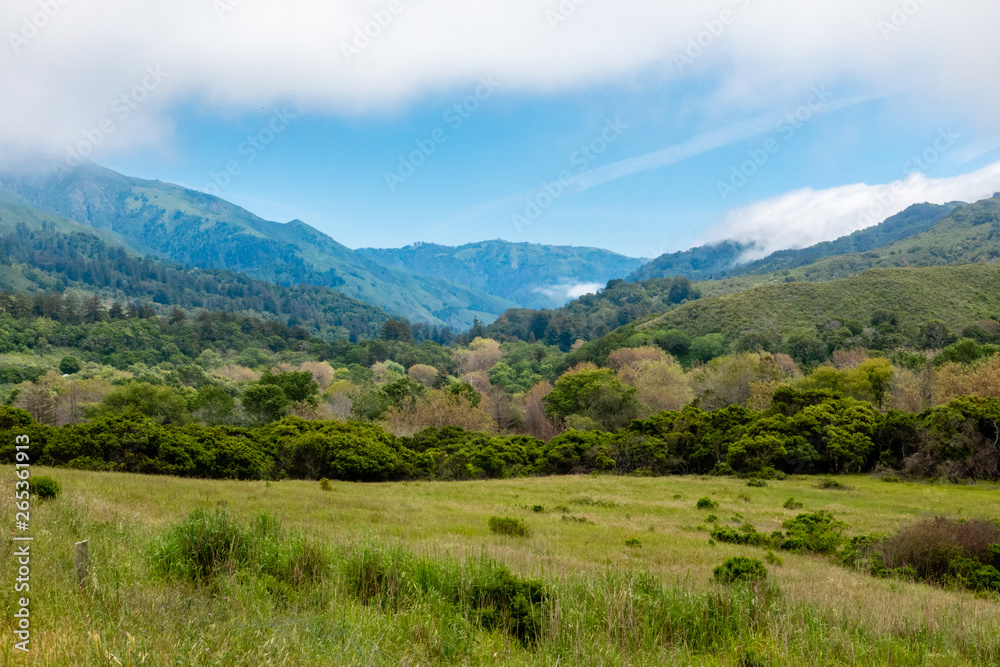 Scenic landscape of the Andrew Molero State Park area of Big Sur, along Highway 1 of the central coast of California, on a partly cloudy spring day.  