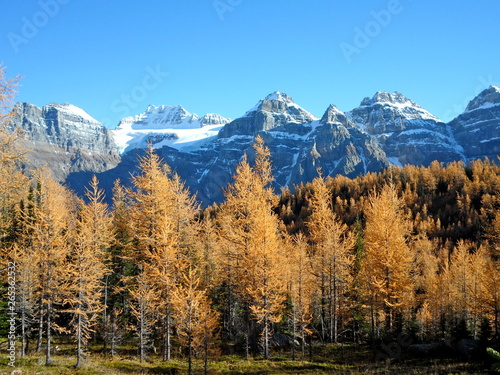 Larch Valley during fall with snowy peaks in background