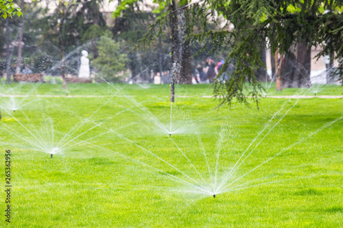 Sprinkler watering the grass in the park