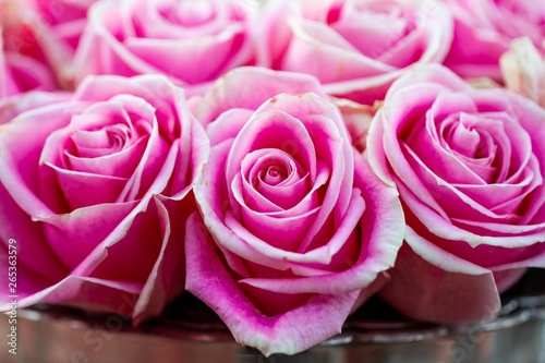 bouquet of pink roses