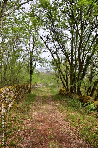 SENTIER DE RANDONNÉE ET MURET DE PIERRES SÈCHES CAUSSES DU QUERCY LOT FRANCE 