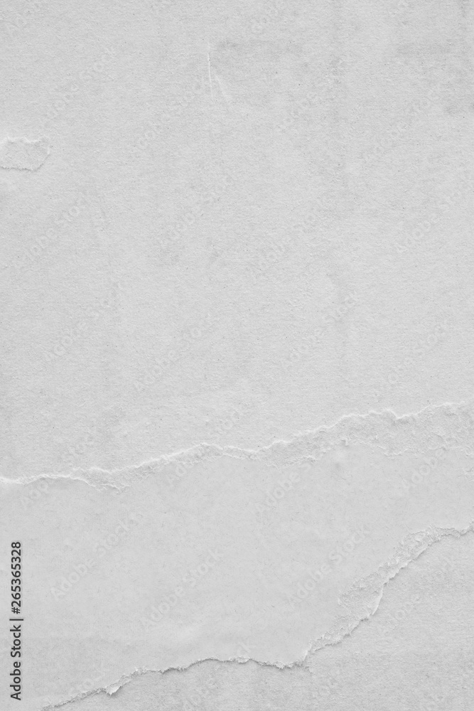 Obraz premium White paper blank crumpled background creased ripped torn posters placard grunge textures surface backdrop empty space for text