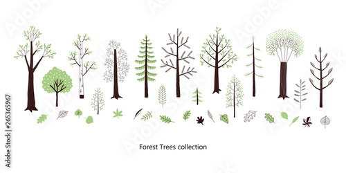 Forest trees and leaves vector clip-art set. Woodland flora in Scandinavian decorative style. Woody park plant isolated on white collection.