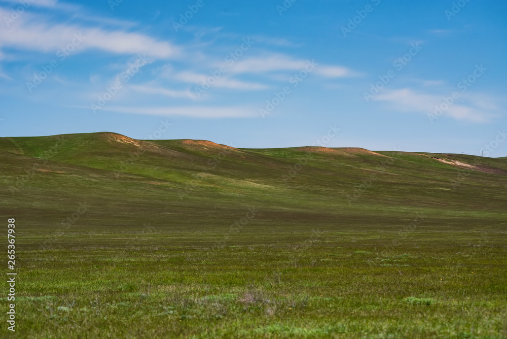 Beautiful picturesque spring landscape with green steppe and blue sky