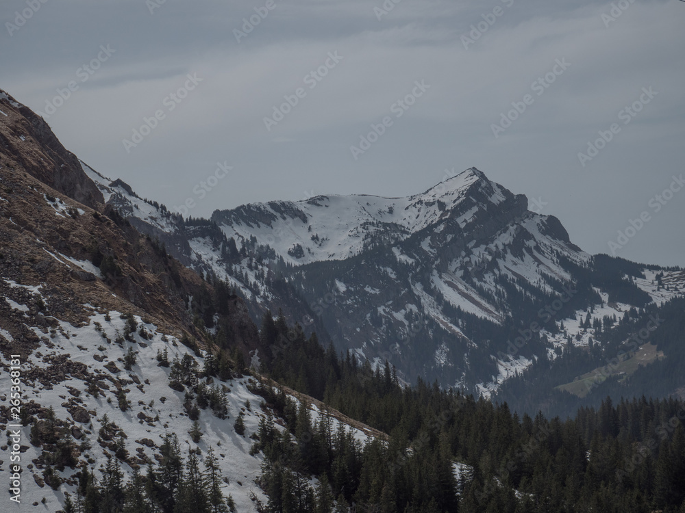 Obraz premium Scenic view of Swiss Alps with snow on top