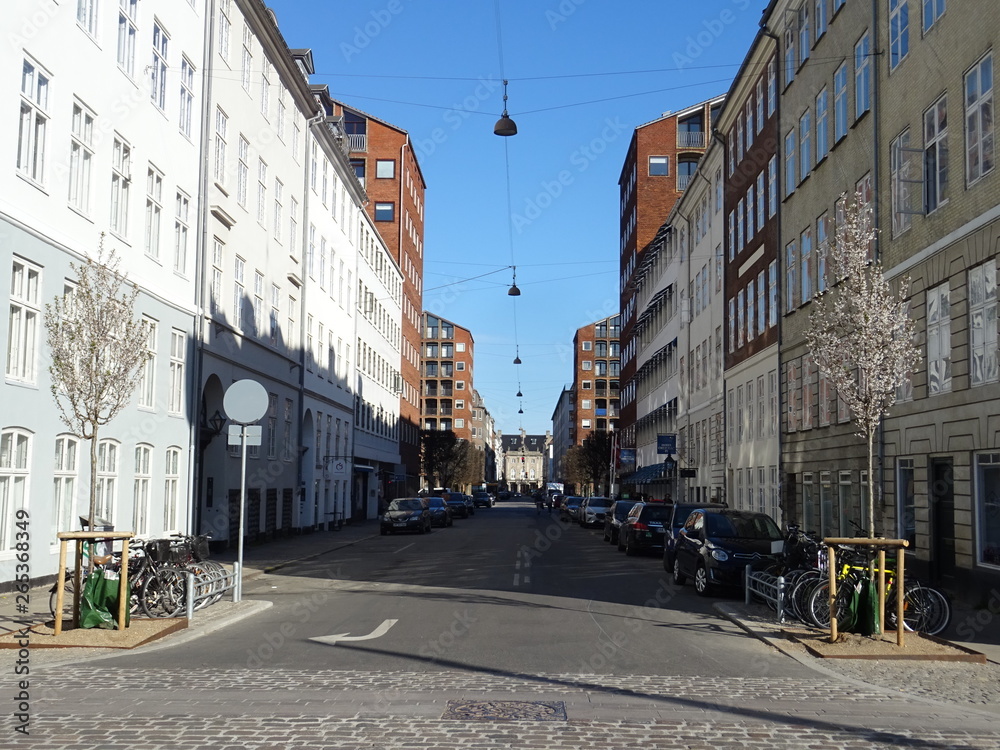 Obraz premium København
