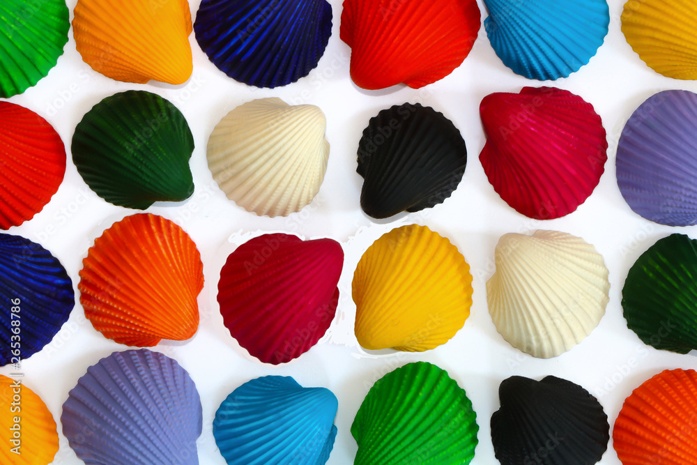 Set of painted seashells Set of painted seashells