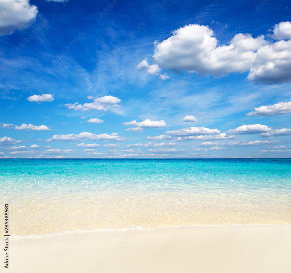 beach and tropical sea . nature background